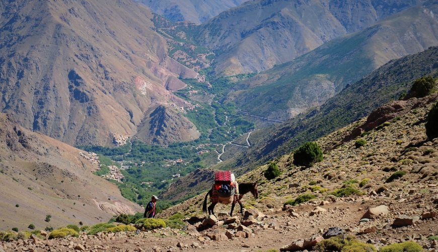 Top Rated Mt Toubkal Trek 2 days, 3 days Toubkal ascent Imlil Atlas Mountains Hikes. Imlil Treks 2022. Tours from Marrakech, Grand Tours Casablanca